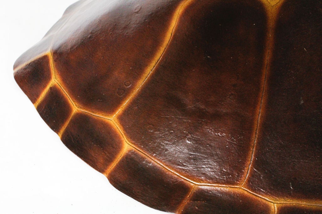A Fiberglass Turtle Shell In Good Condition In Palm Beach, FL