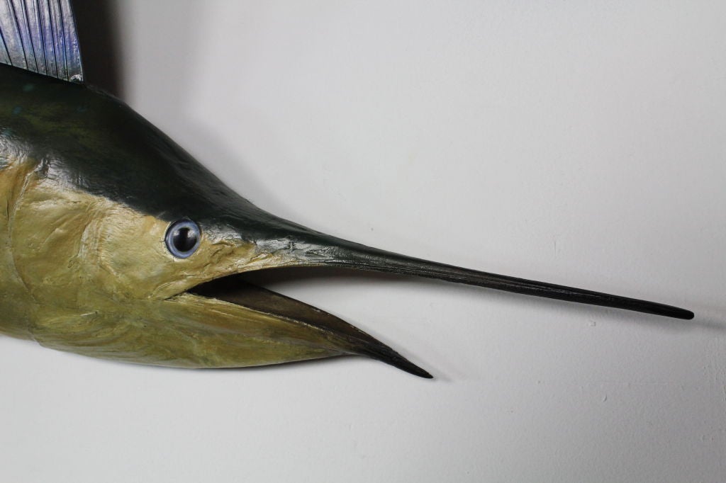 An older skin mount taxidermy sailfish, with subdued antique style colors.<br />
Beautiful form. Skin mounts are obsolete. <br />
<br />
Please visit our extensive website, for other examples of skin mount fish, at fshenemaderantiques.com