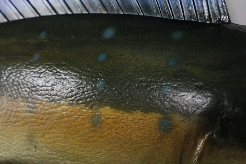 sailfish skin
