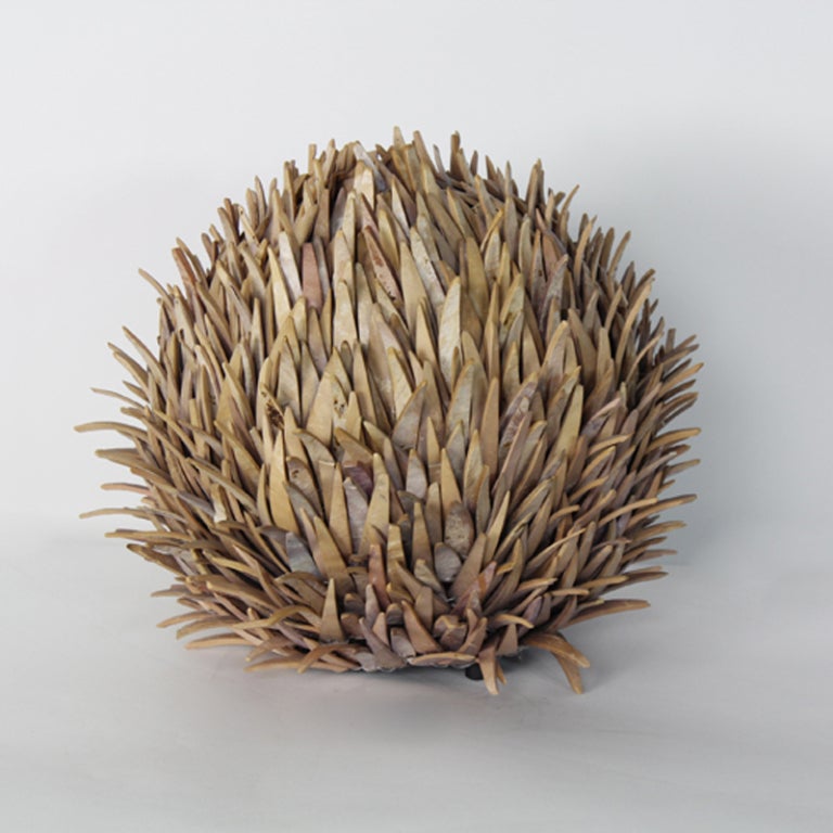 An Amazing Sea Urchin Lamp