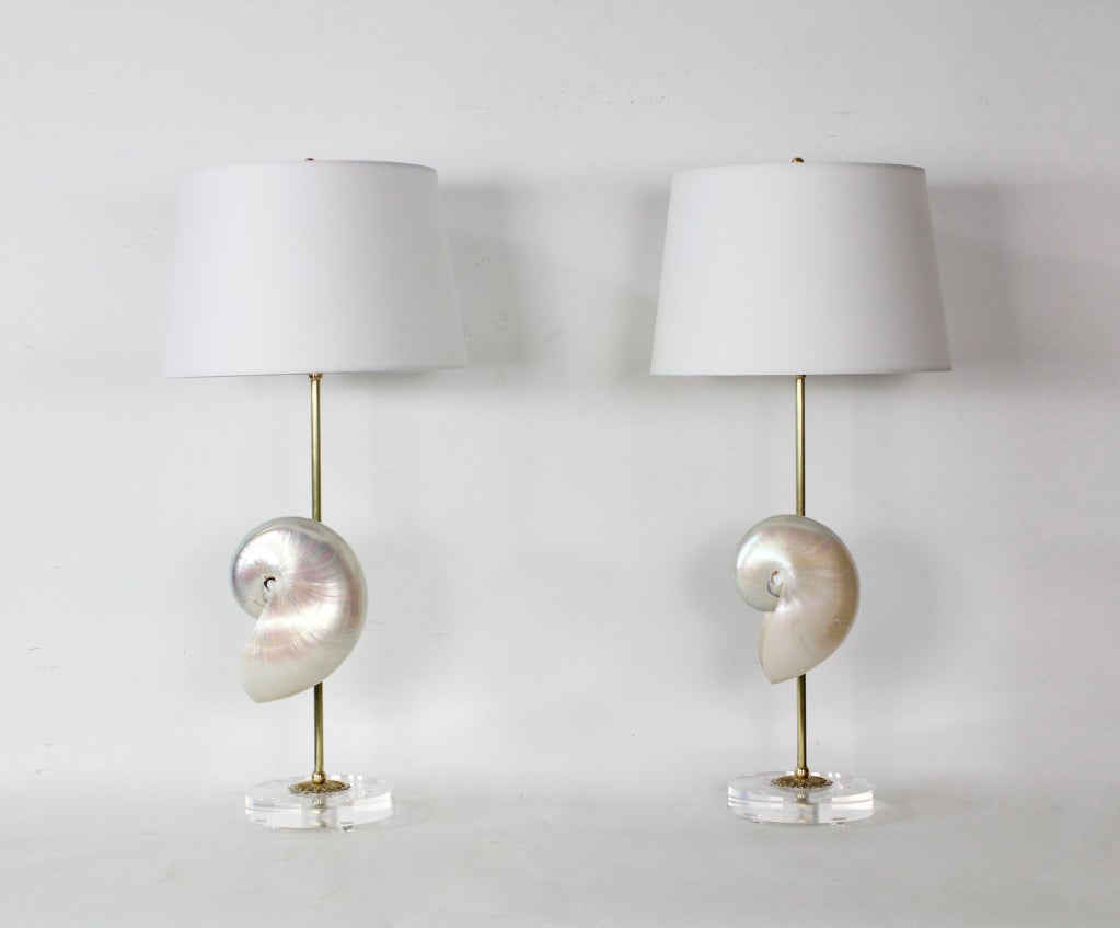 Nautilus Shell Lamps on Lucite Bases