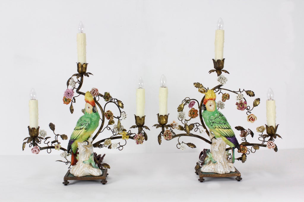A pair of large porcelain parrot lamps, with gilt iron and porcelain flower surrounds. 

Please visit our website for other interesting and decorative lamps at fshenemaderantiques.com