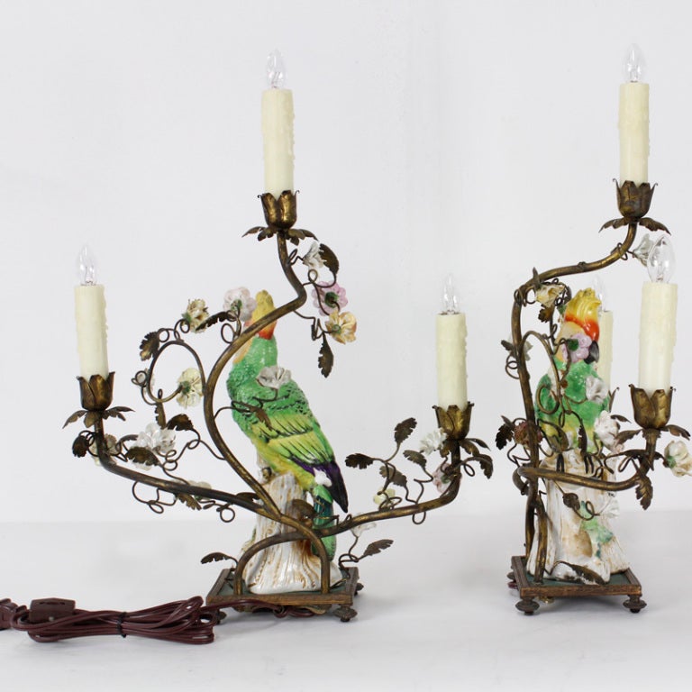 French Pair of Parrot Lamps with Porcelain Flower Surrounds