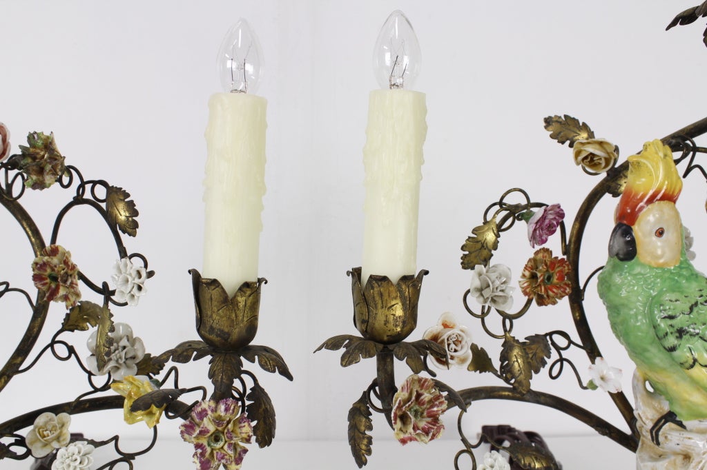 Pair of Parrot Lamps with Porcelain Flower Surrounds 1