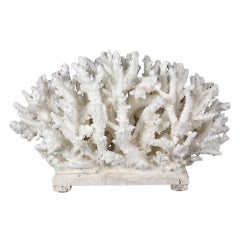 Branch Coral Low Centerpiece