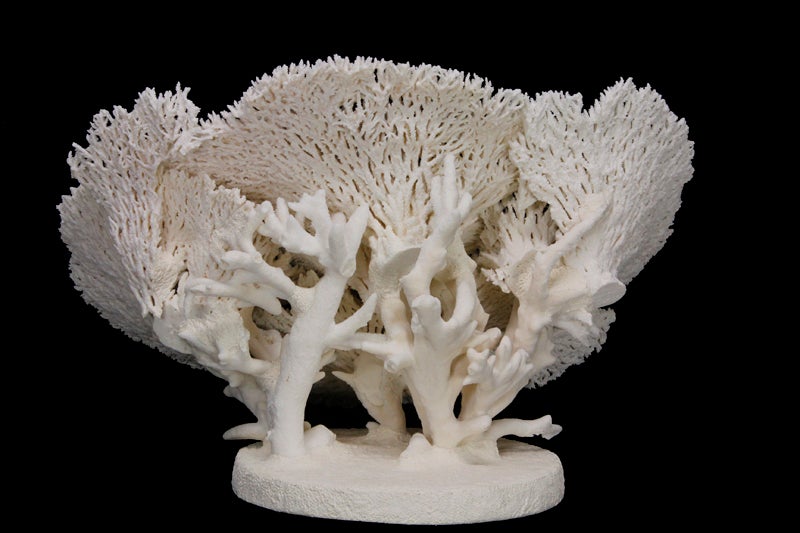 20th Century Large Table Coral Sculpture or Centerpiece