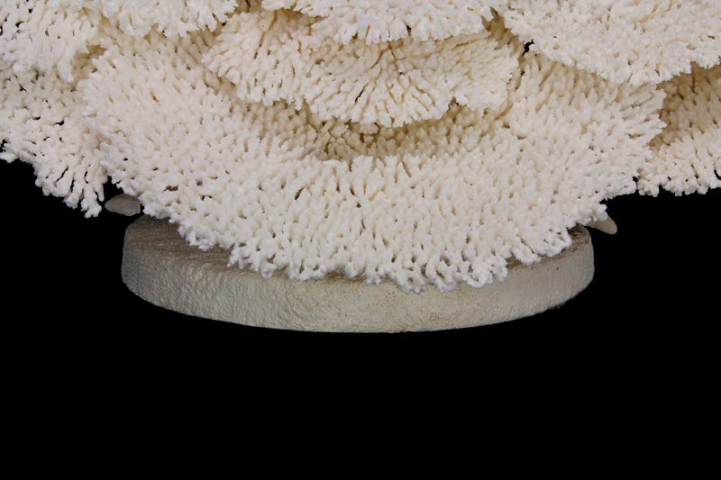 Large Table Coral Sculpture or Centerpiece 3