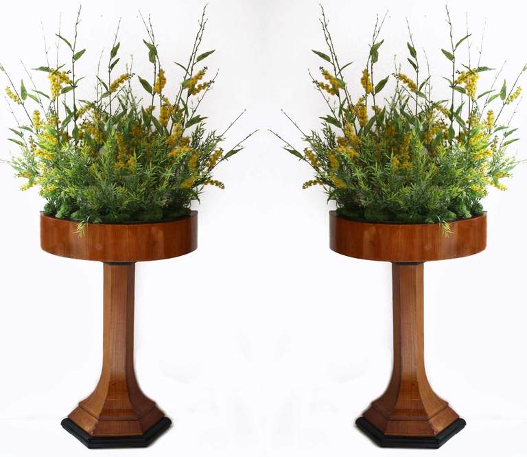 Pair of Biedermeier Flower Stands