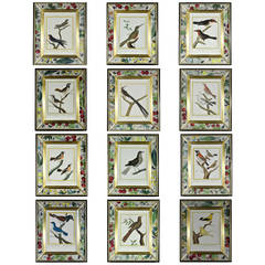 Set of 12 Francois Nicolas Martinet Engravings of Birds
