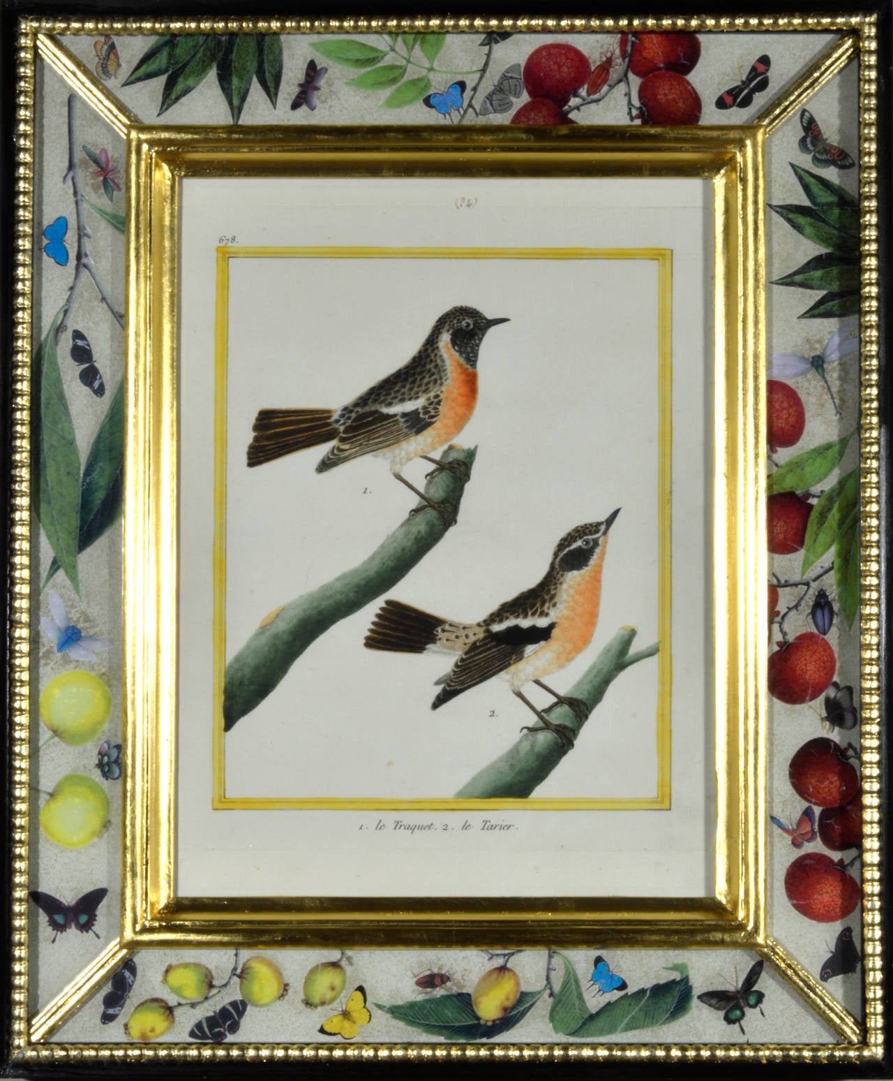Paper Set of 12 Francois Nicolas Martinet Engravings of Birds