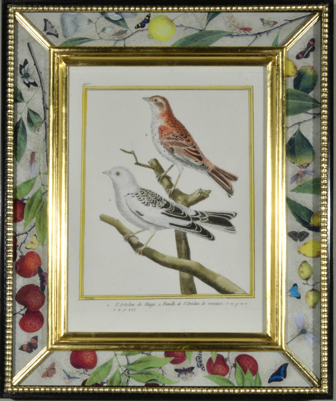 Late 18th Century Set of 12 Francois Nicolas Martinet Engravings of Birds