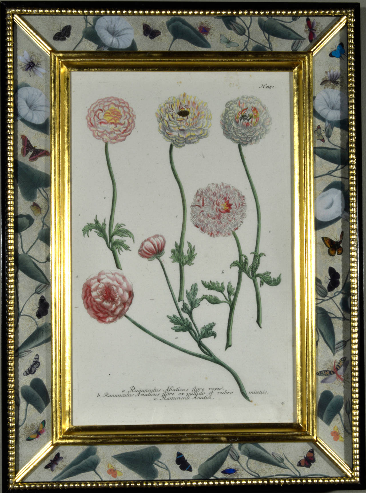 Georgian Set of 12 Johann Weinmann Botanical Engravings