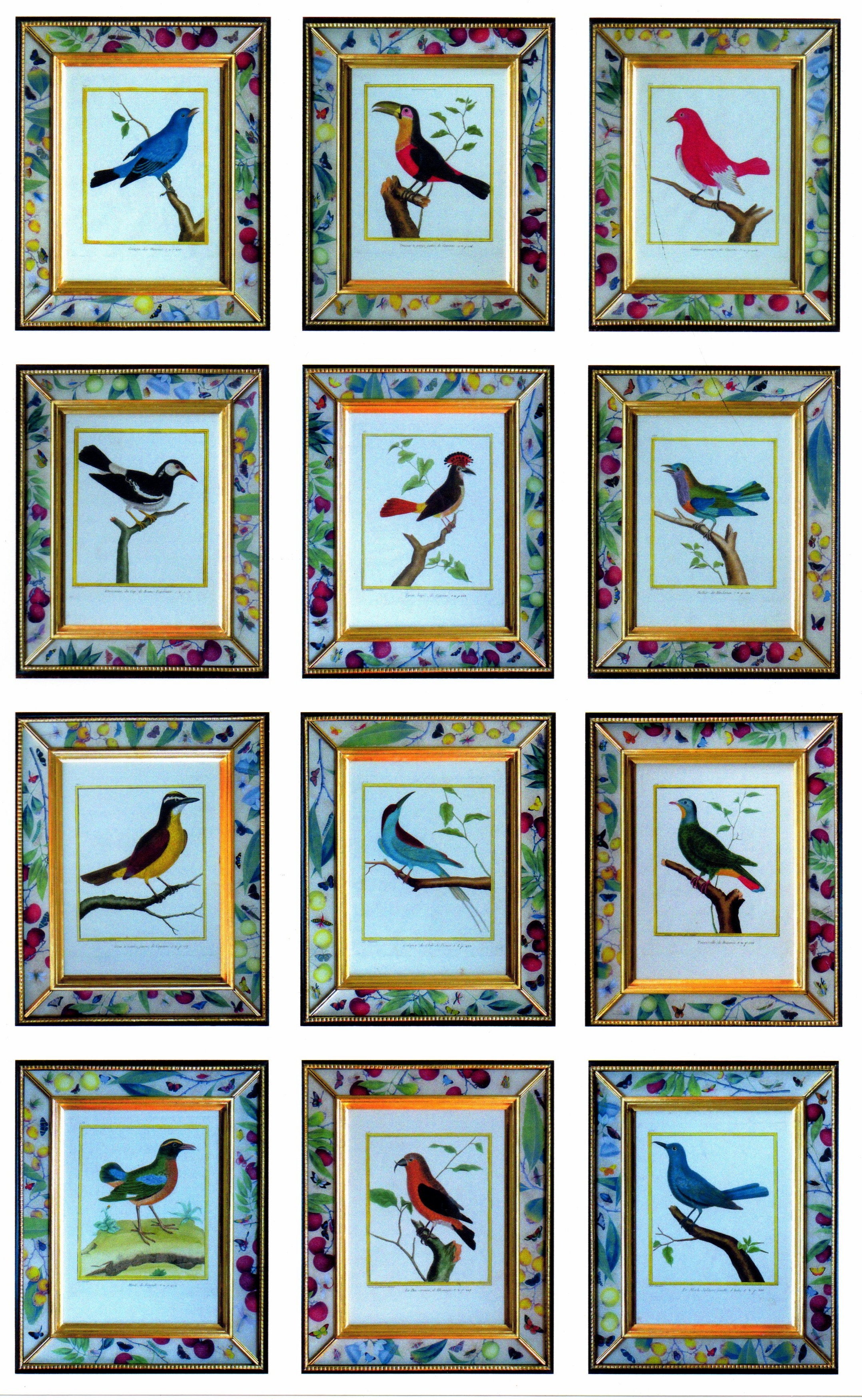 A Set of Twelve Francois Nicolas Martinet Engravings of Birds