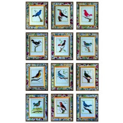 A Set of Twelve Francois Nicolas Martinet Engravings of Birds