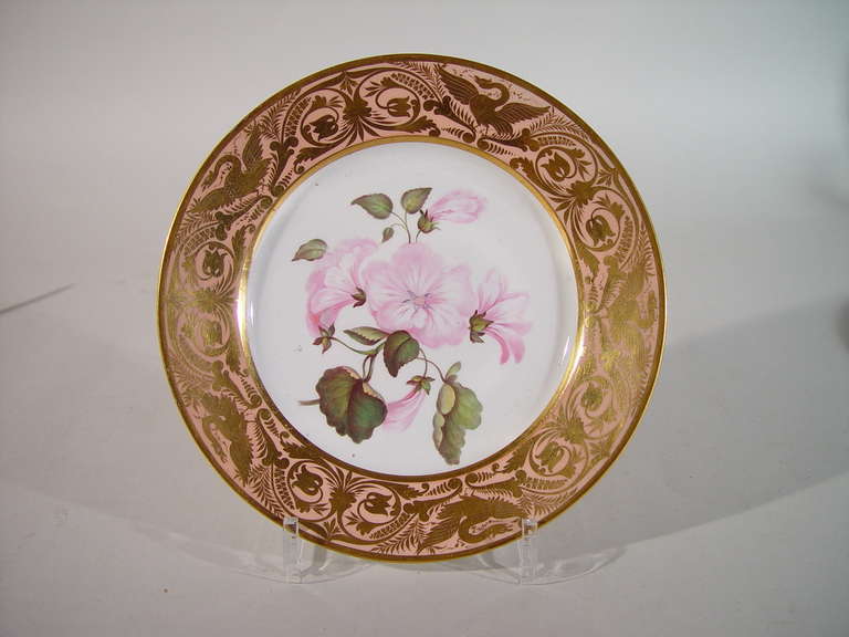 Regency A Set of Five Fine Derby Porcelain Salmon-Ground Botanical Specimen Plates