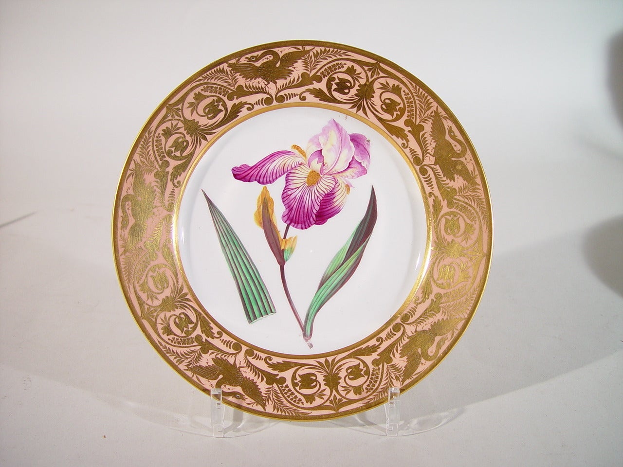 A Set of Five Fine Derby Porcelain Salmon-Ground Botanical Specimen Plates