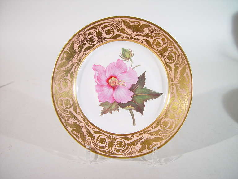 spode blue italian