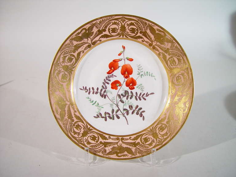 Hand-Painted A Set of Five Fine Derby Porcelain Salmon-Ground Botanical Specimen Plates