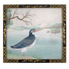 A Set of Eight Chinese Watercolours of Bird