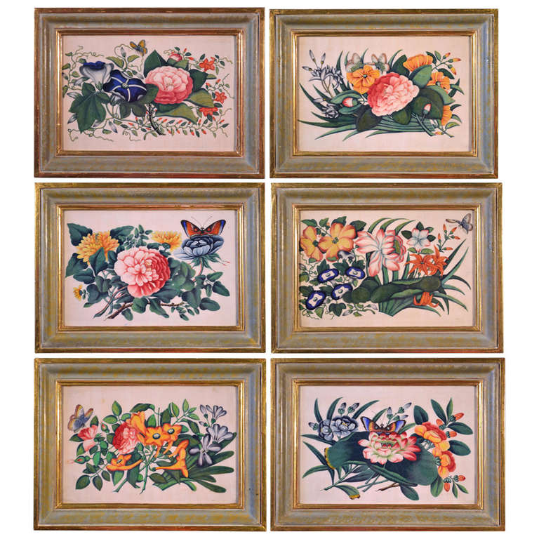 A Set of Six China Trade Botanical Watercolours on Pith Paper