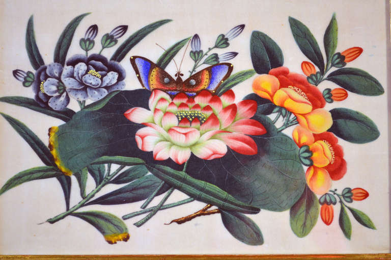 A Set of Six China Trade Botanical Watercolours on Pith Paper 4