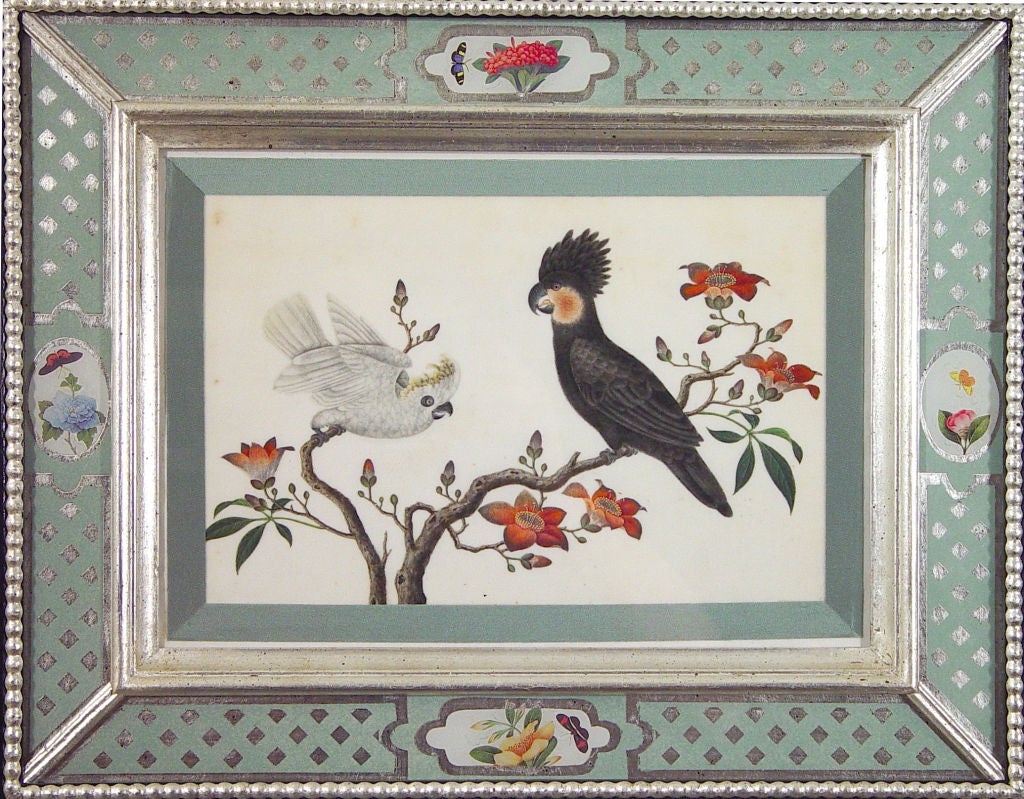 A Set of Six Chinese Watercolours of Birds in Églomisé  Frames 7