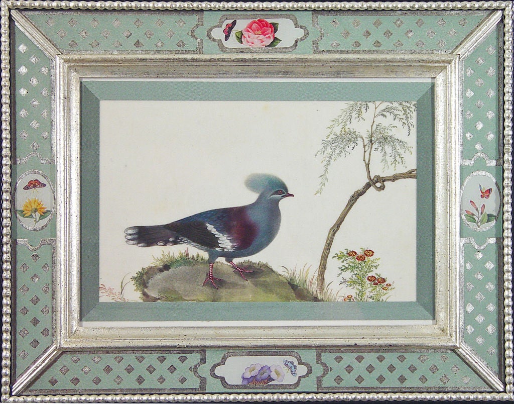 19th Century A Set of Six Chinese Watercolours of Birds in Églomisé  Frames