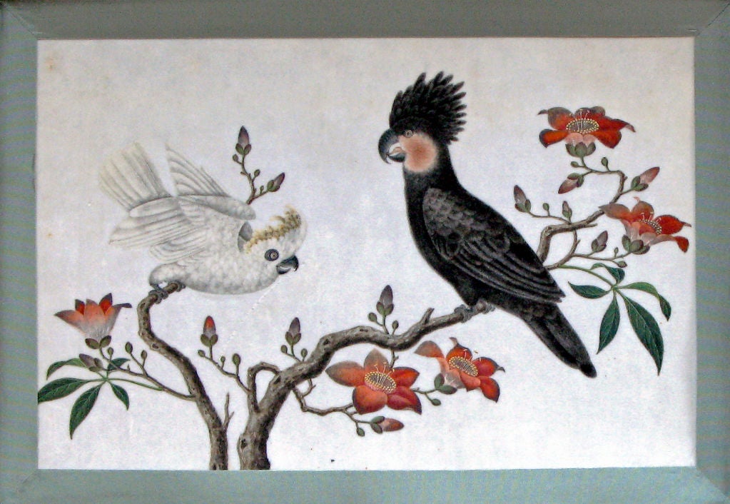 A Set of Six Chinese Watercolours of Birds in Églomisé  Frames 1