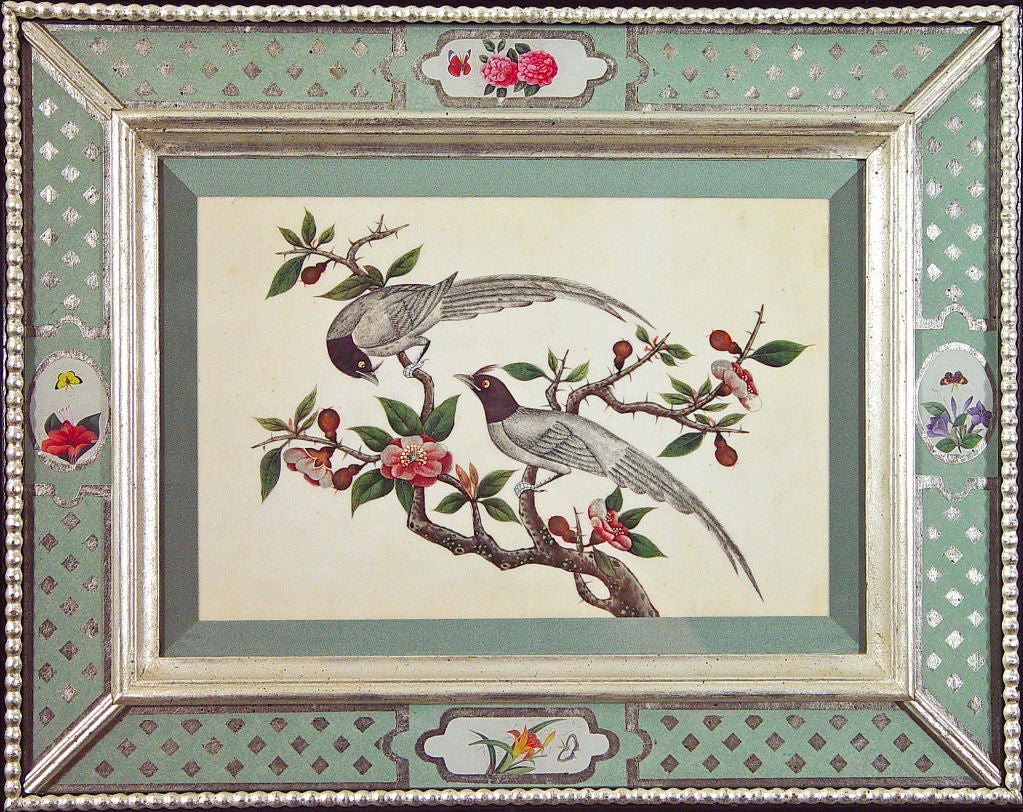 A Set of Six Chinese Watercolours of Birds in Églomisé  Frames 3