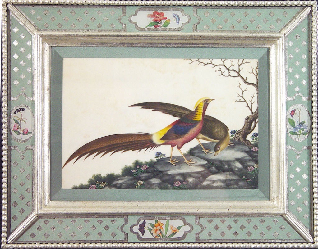A Set of Six Chinese Watercolours of Birds in Églomisé  Frames 6