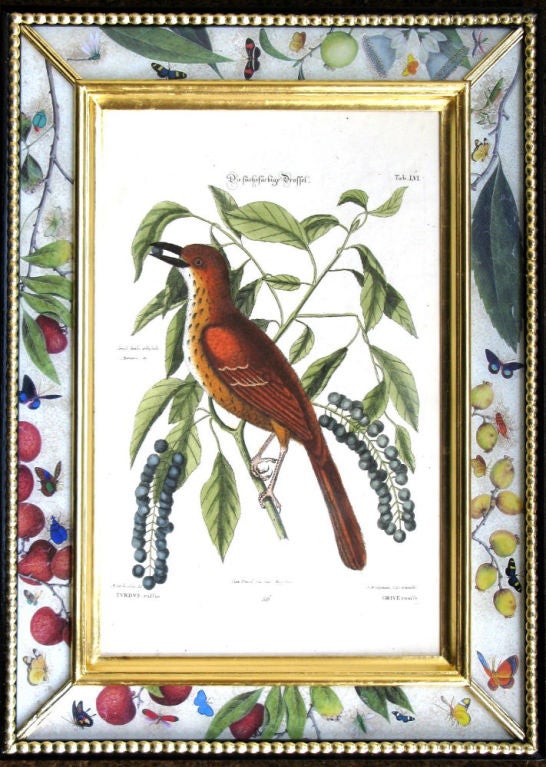A Set of Eighteen Seligmann Engravings of Birds 5