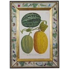 Antique A Superb Johann Wilhelm Weinmann Print of Watermelons