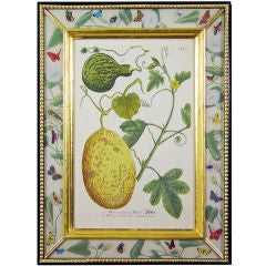 A Superb Johann Wilhelm Weinmann Print of Watermelons