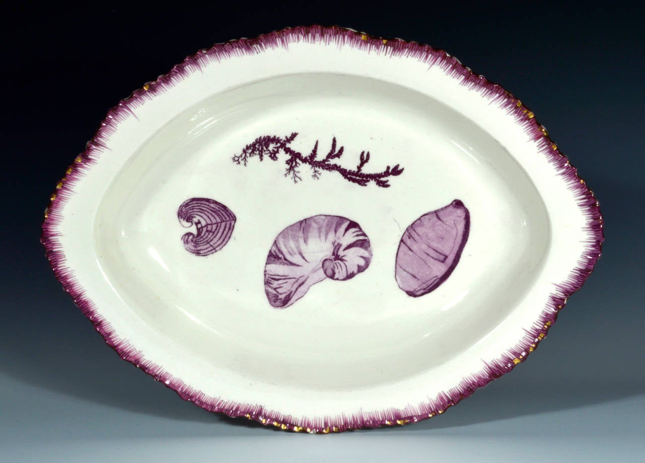 The lead glazed moulded earthenware with a puce printed design of sea shells and sea weed with a similarly colored painted feathered rim in puce and remains of original gold enhancement to rim. Although not marked, these dishes are identical to a