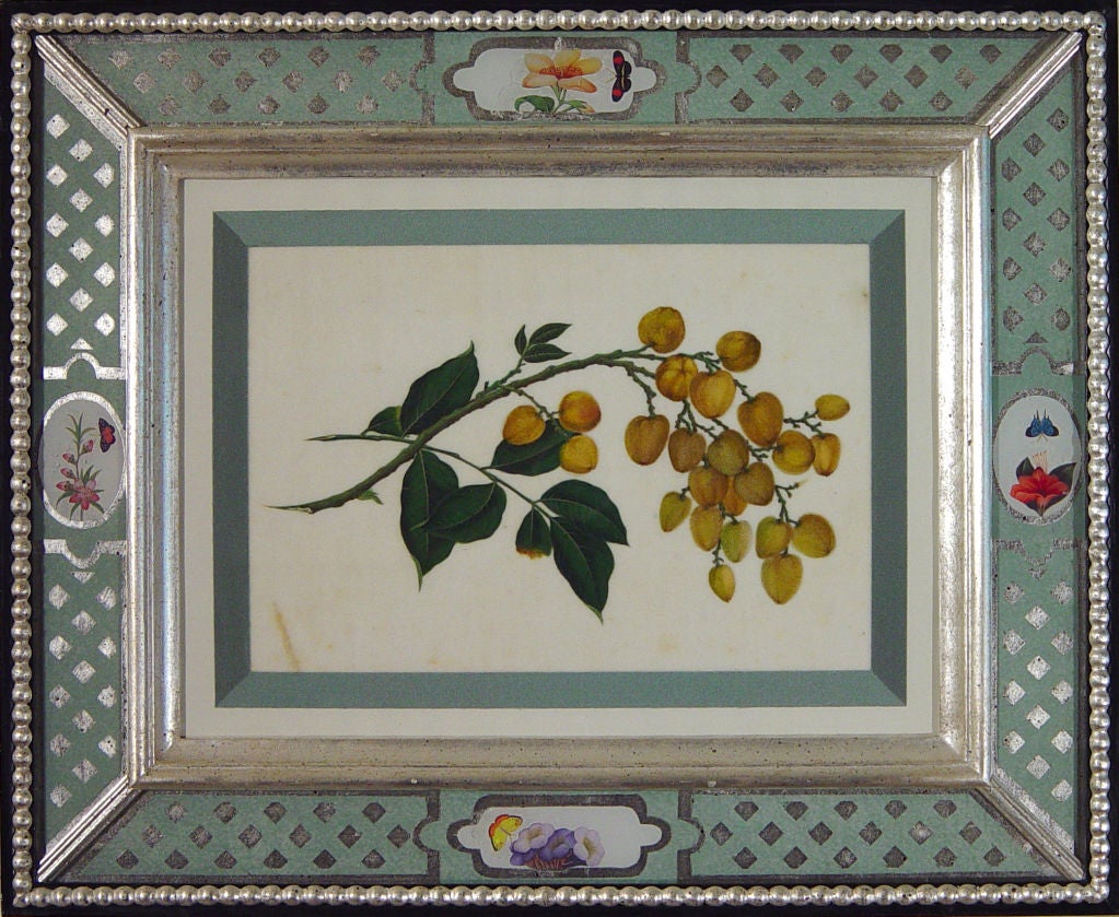Set of Seven Chinese Watercolours of Fruit on Pith 1