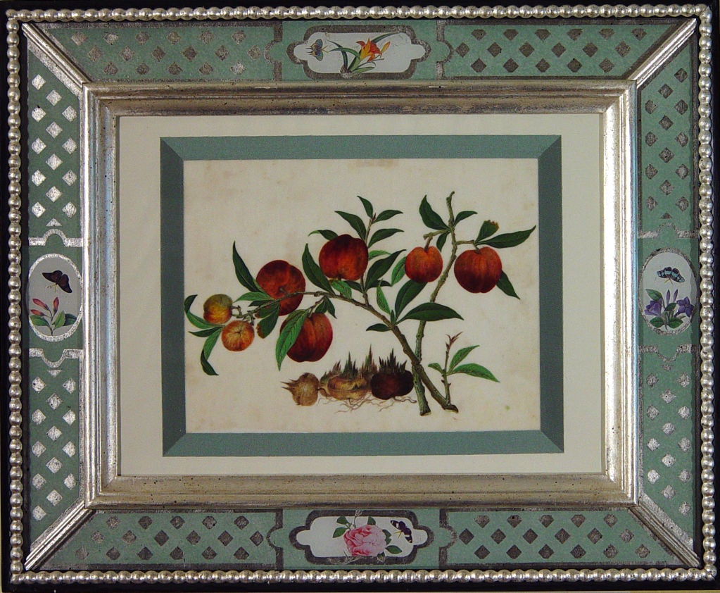 Set of Seven Chinese Watercolours of Fruit on Pith 3