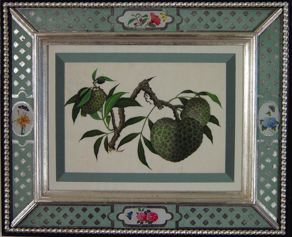 19th Century Set of Seven Chinese Watercolours of Fruit on Pith