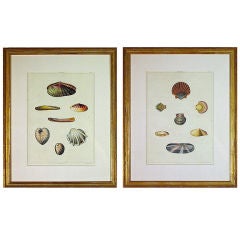 A Pair of Framed Acquatints by George Perry