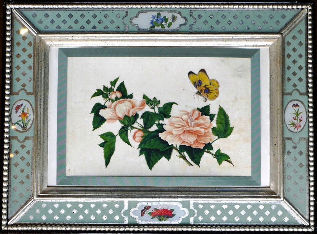 A Set of Nine Chinese Export Botanical Watercolours of Flowers 7