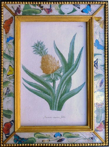 German A Set of Four Weinmann Botanical Prints of Pineapples.