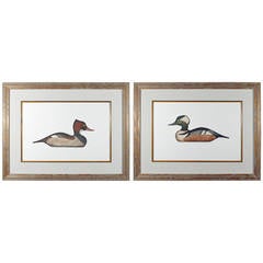 Arthur Nevis Pair of Prints of Hooded Merganser Drake and Hen Duck Decoys
