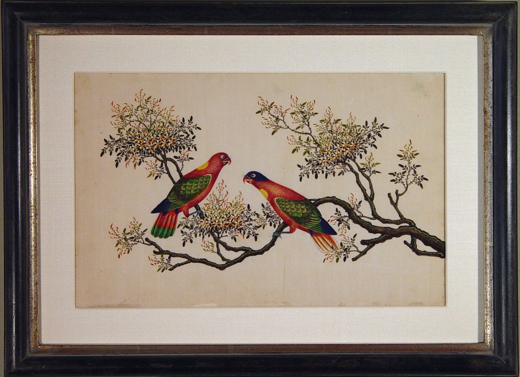 The watercolours have wonderful bright colour and are larger than normal.  They are beautifully framed within finished corner frames and glazed with museum glass.


China Trade watercolours, although produced as early as the late 18th century,