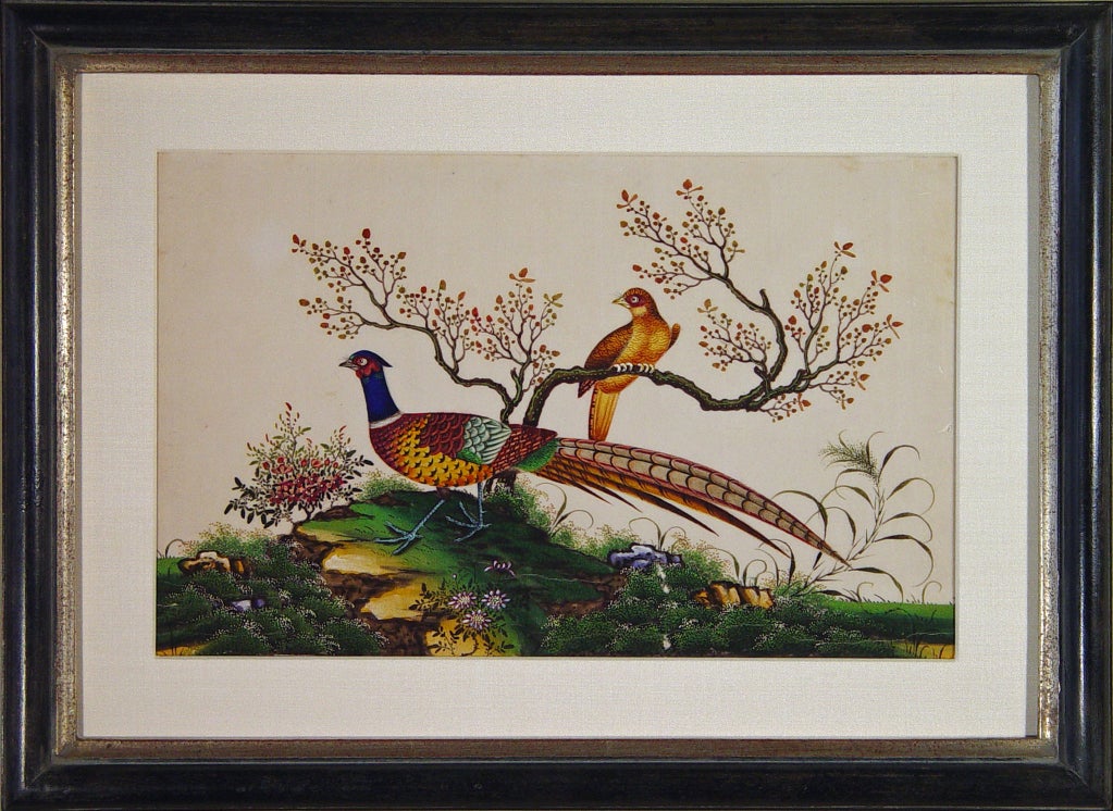 Chinese A Fine Set of Four China Trade Watercolours of Birds