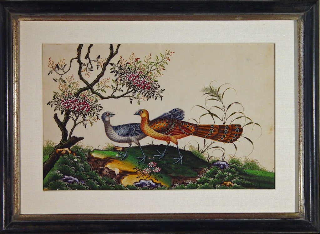 A Fine Set of Four China Trade Watercolours of Birds 1