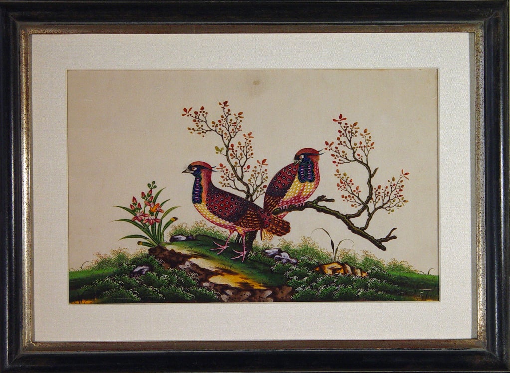 A Fine Set of Four China Trade Watercolours of Birds 2
