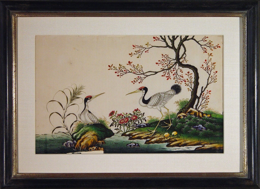 A Fine Set of Four China Trade Watercolours of Birds 3