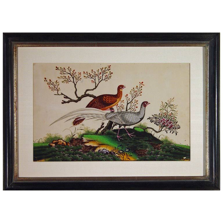 A Fine Set of Four China Trade Watercolours of Birds