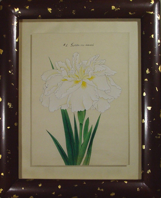 A Set of Twelve Framed Japanese Watercolour Paintings of Irises