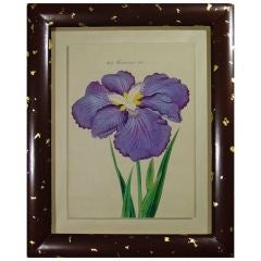 A Set of Twelve Framed Japanese Watercolour Paintings of Irises