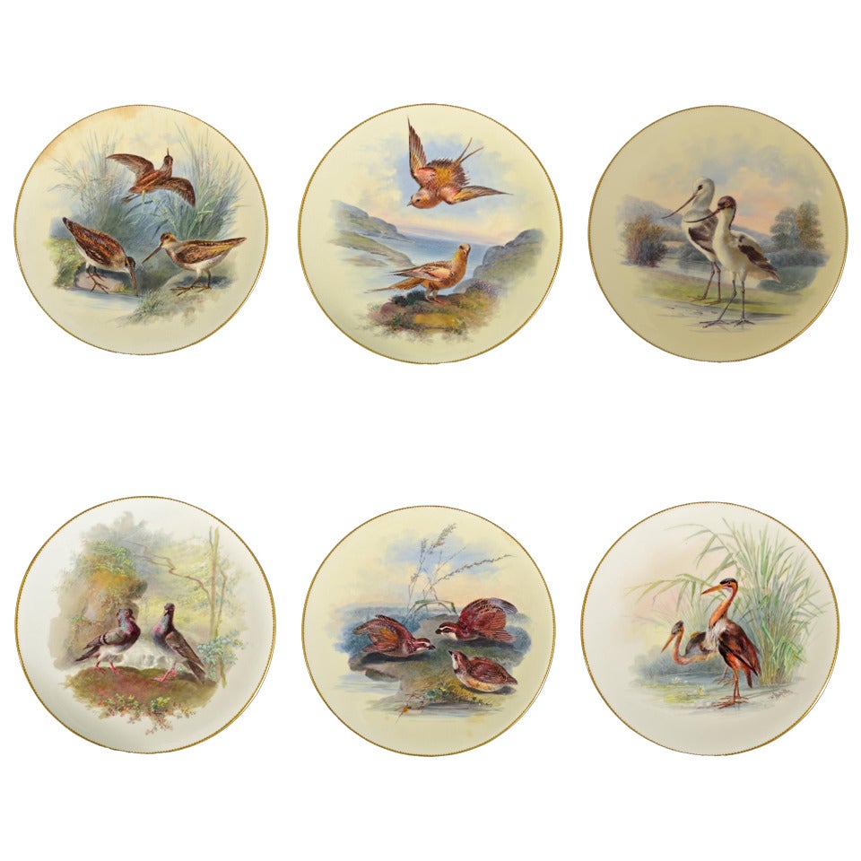 Thomas Minton Porcelain Bird Cabinet Plates, Signed by William Mussil.